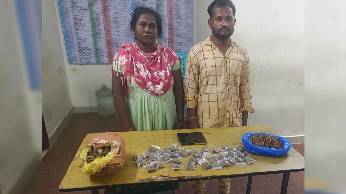 Odisha Couple Held For Selling Ganja To College Students In Chennai