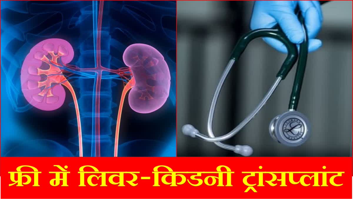 Kidney liver transplant will be done for free in Haryana CM Nayab Singh Saini announced facility will be available in PGI