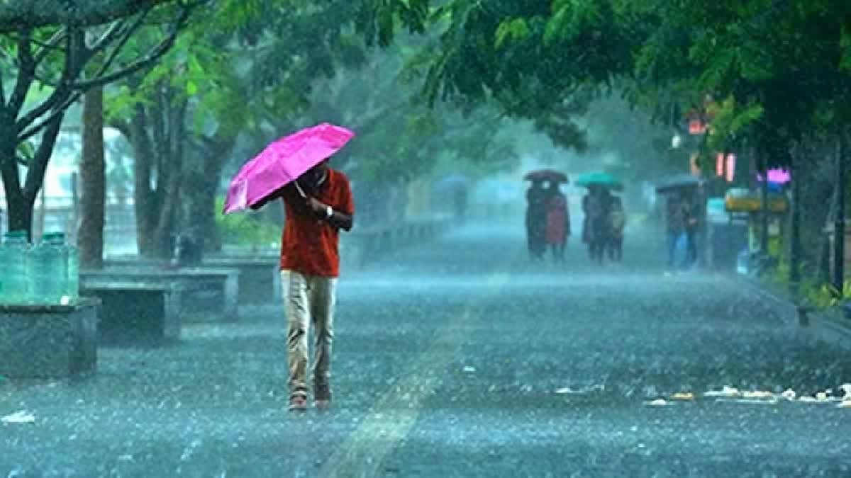 July Rainfall In India India