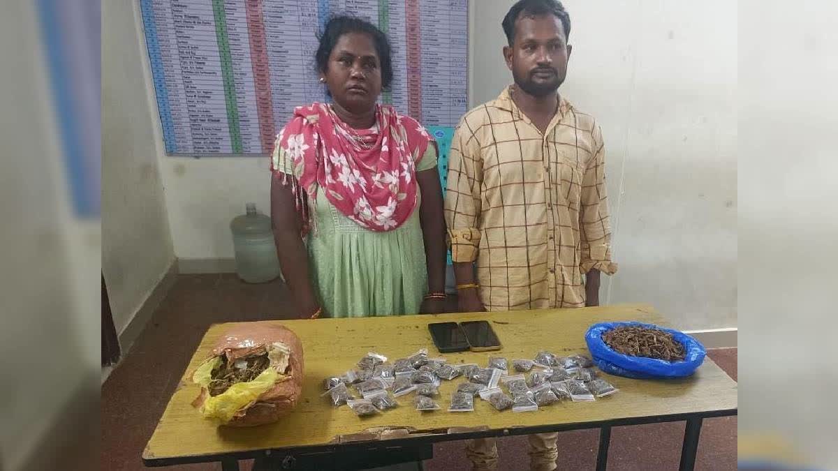 Odisha Couple Arrested for Selling Ganja in Chennai