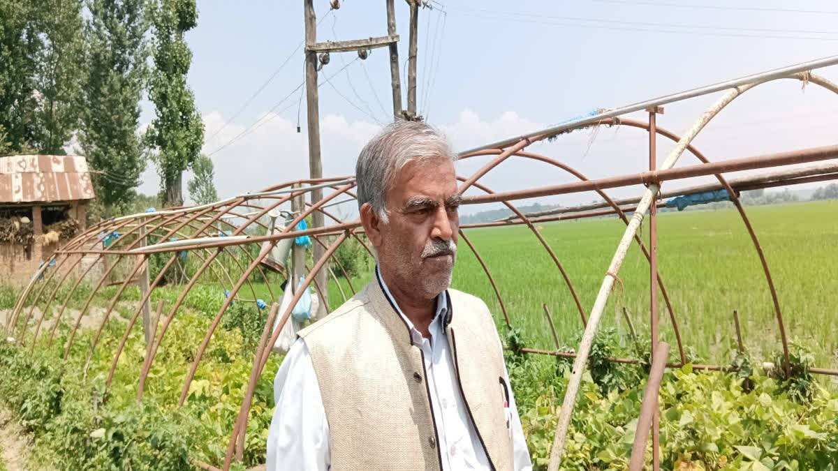 In the 111th episode of 'Mann Ki Baat,' Prime Minister Narendra Modi praised Abdul Rashid Mir, a resident of Chakura village in Pulwama district, for his pioneering efforts in cultivating snow peas for export.