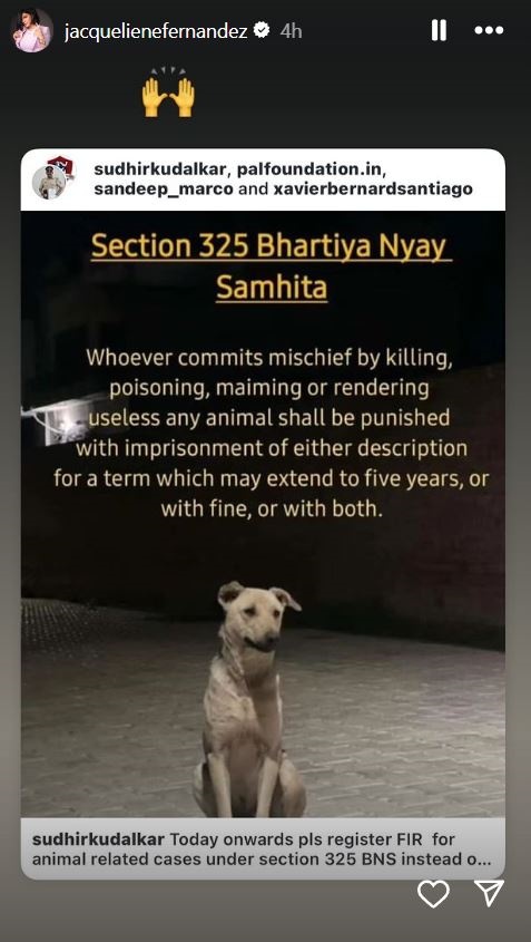 Section 325 Of Bharatiya Nyaya Sanhita: Jacqueline Fernandez, Malaika Arora Endorse New Animal Protection Laws