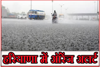 Haryana Monsoon Update