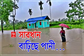 DAILY ASSAM FLOOD REPORT