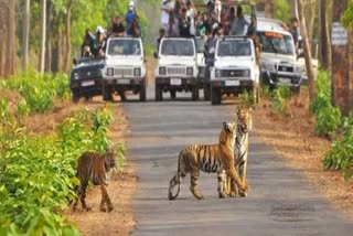 Jim Corbett National Park