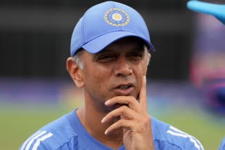 Rahul Dravid Job