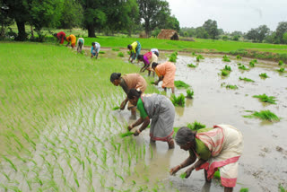 Crop Insurance Week