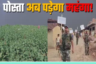 after-fir-on-sikni-village-poppy-cultivation-stopped-in-area-of-palamu