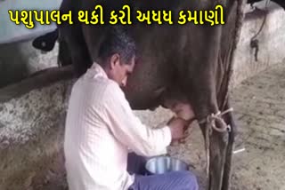 પશુપાલન થકી કરી અધધ કમાણી