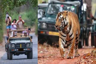 Ranthambore National Park