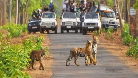 Jim Corbett National Park