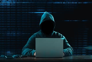 Cyber ​​Fraud in Talliki Vandanam
