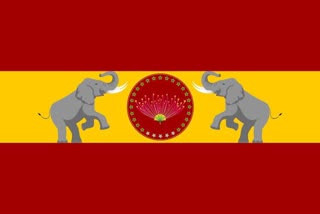 தமிழக வெற்றிக் கழகம் கட்சி கொடி