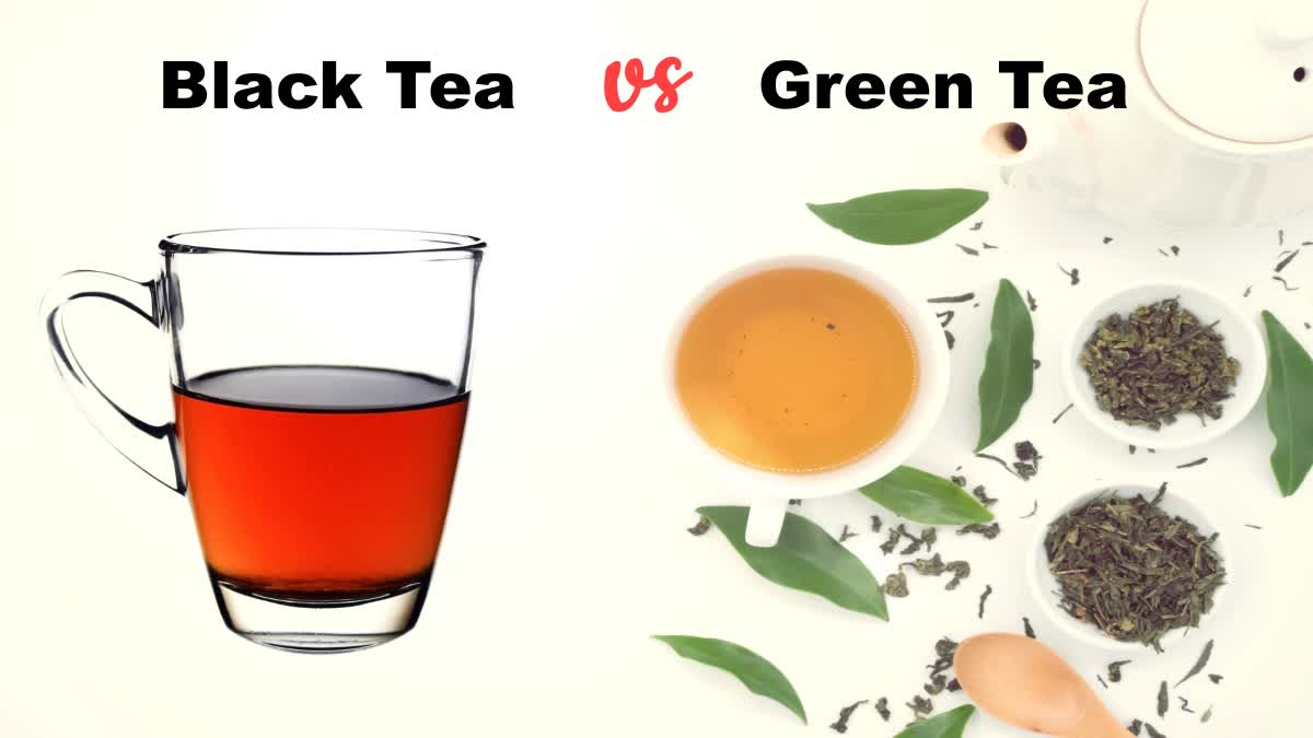 Black Tea VS Green Tea