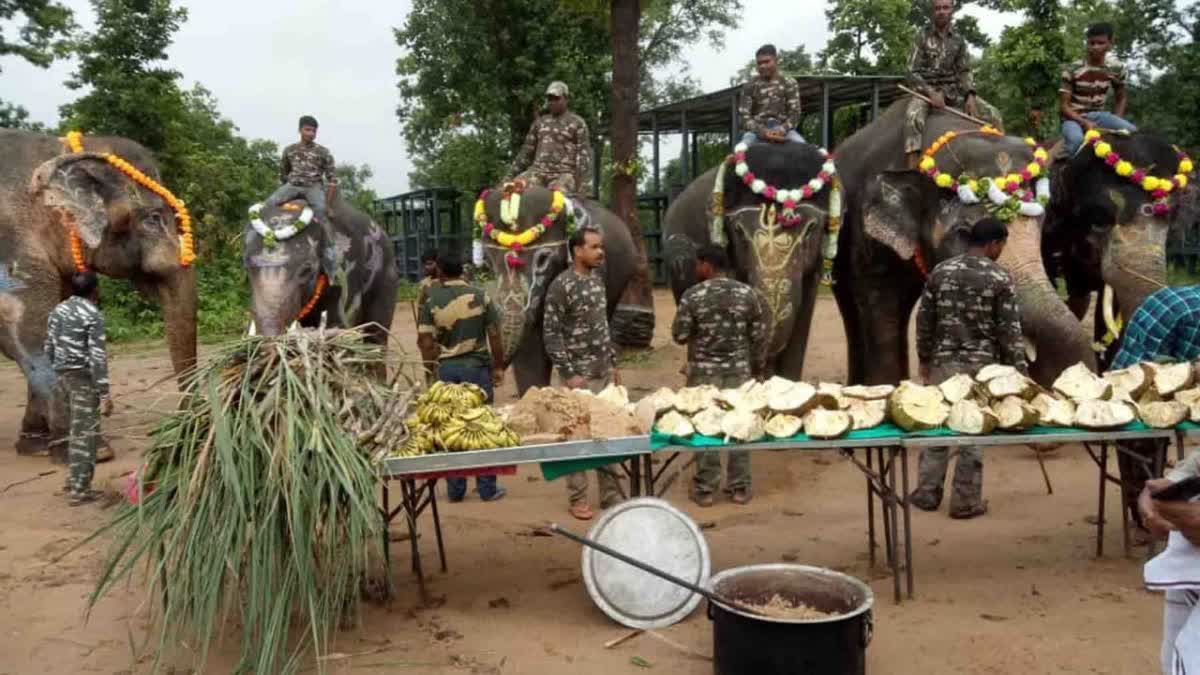 Kumki Elephant Duryodhan Absconding