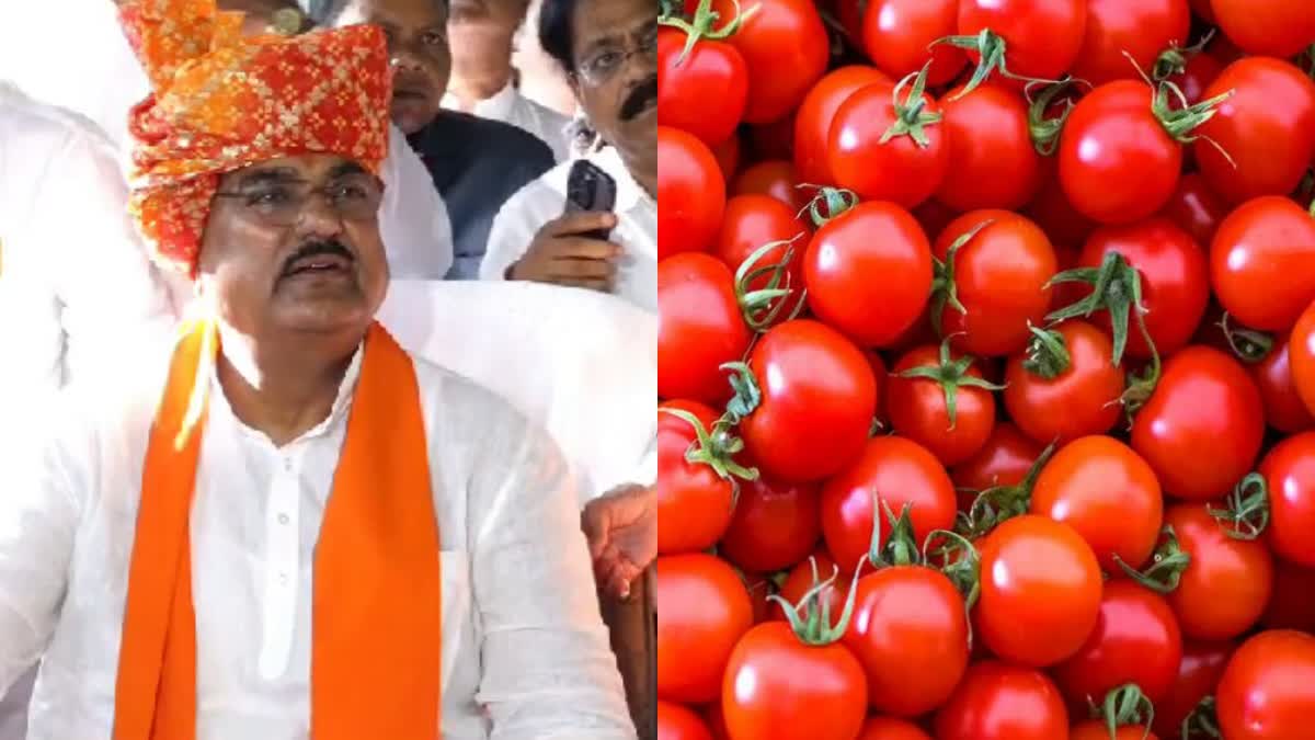 Kamal Patel On Tomato