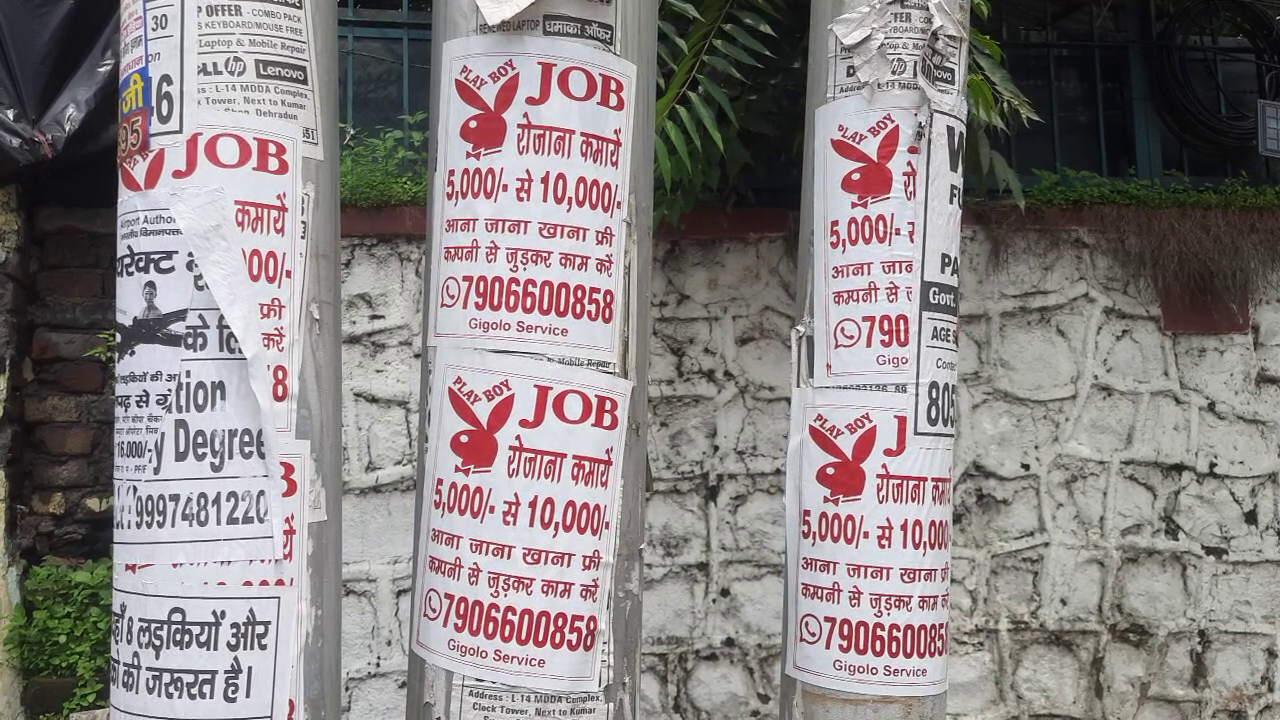 Playboy Job Posters Put Up in Dehradu