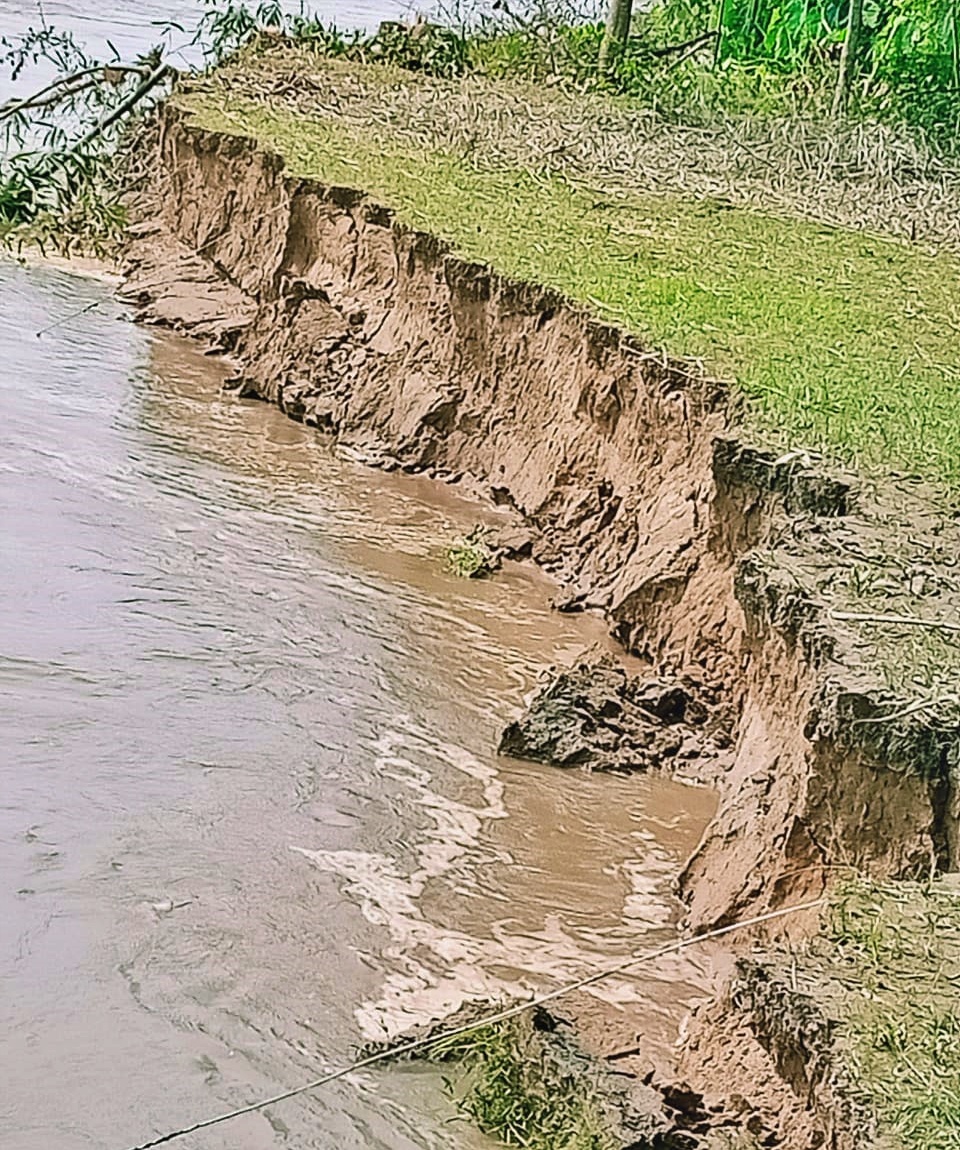 dikrong river erosion news