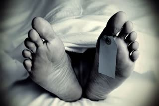 student committed suicide in Greater Noida