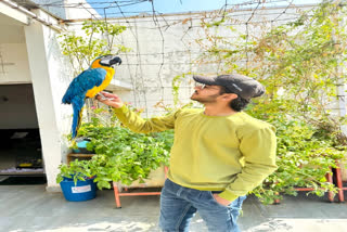 Jainish Patel, who lives in Ghatlodiya, Ahmedabad, is a proud owner of 100 exotic parrots