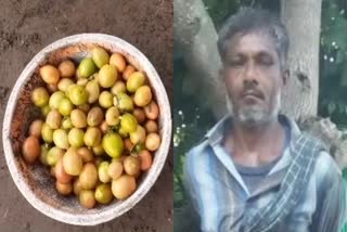 farmer-caught-the-tomato-thief-and-handed-him-over-to-the-police
