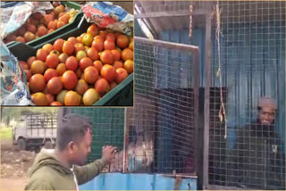 Tomato Theft Sangareddy