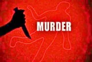 murder crime news