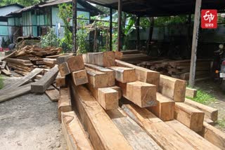 Illegal Wood Seized