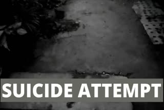 woman attempts suicide at collectorate