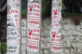 Playboy Job Posters pasted in Dehradun