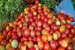 Tomato Prices More High