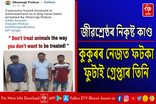 Three arrested for torturing dog in Dhemaji