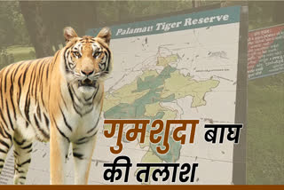 Tiger missing from PTR