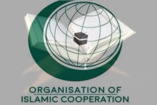 OIC strongly condemns desecration of Quran in Sweden and Denmark