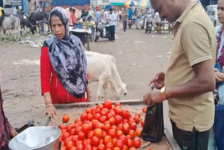 Tomato sold at Rs 240 in Kota, NCCF closed selling as less supply of the vegetable