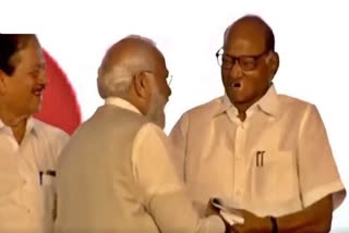 Modi and Pawar