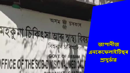 Japanese Encephalitis terror in Assam