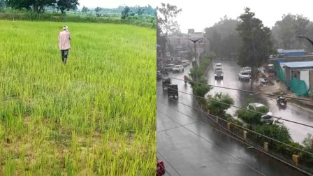 Shahdol Heavy Rain