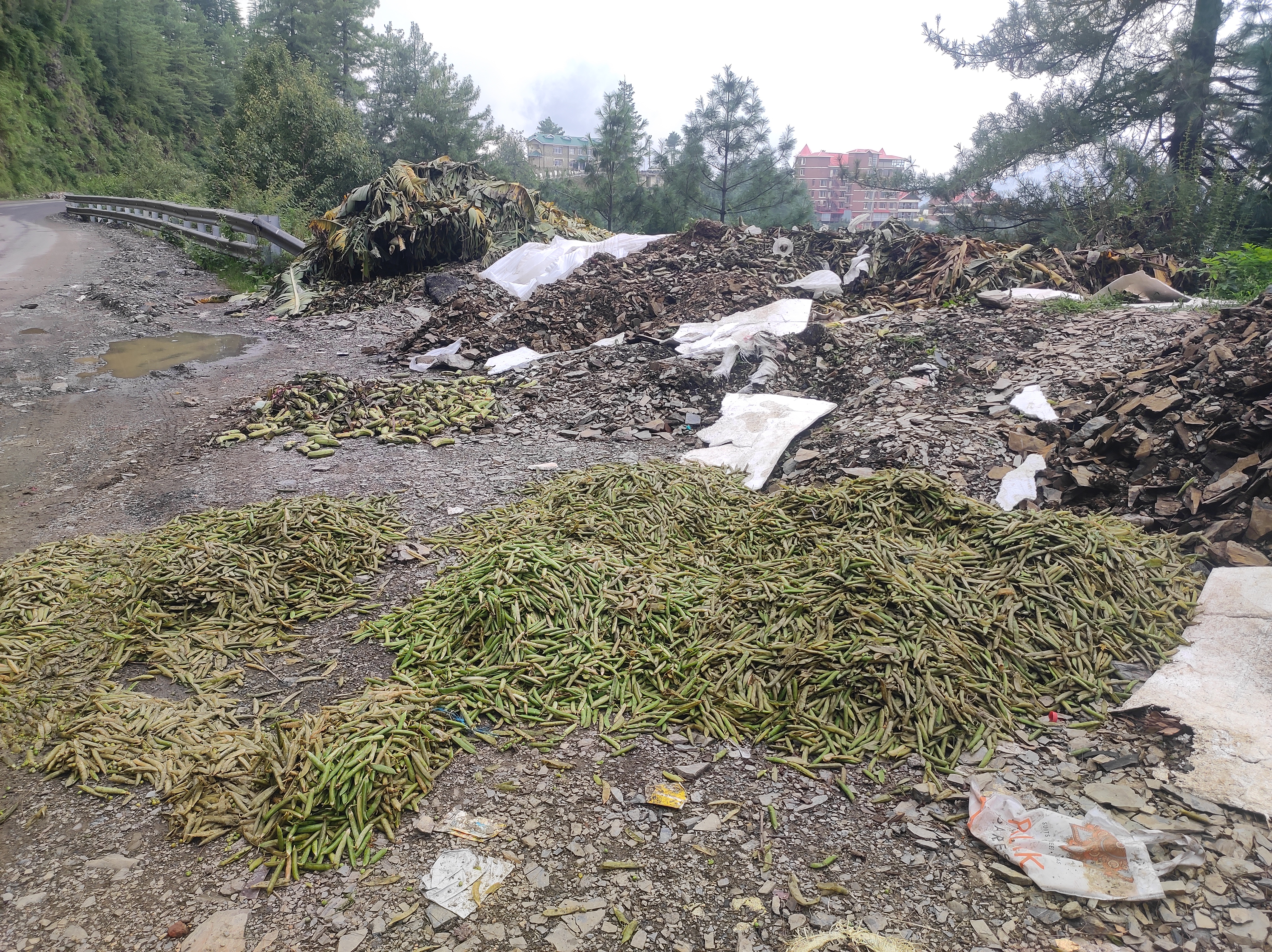 Peas Sacks throw on Roadside on NH-5 in Theog.