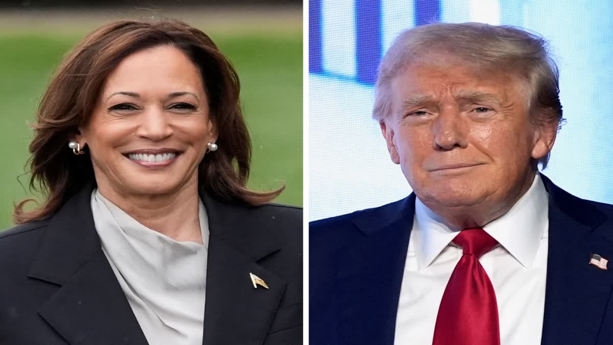 Donald Trump Kamala Harris