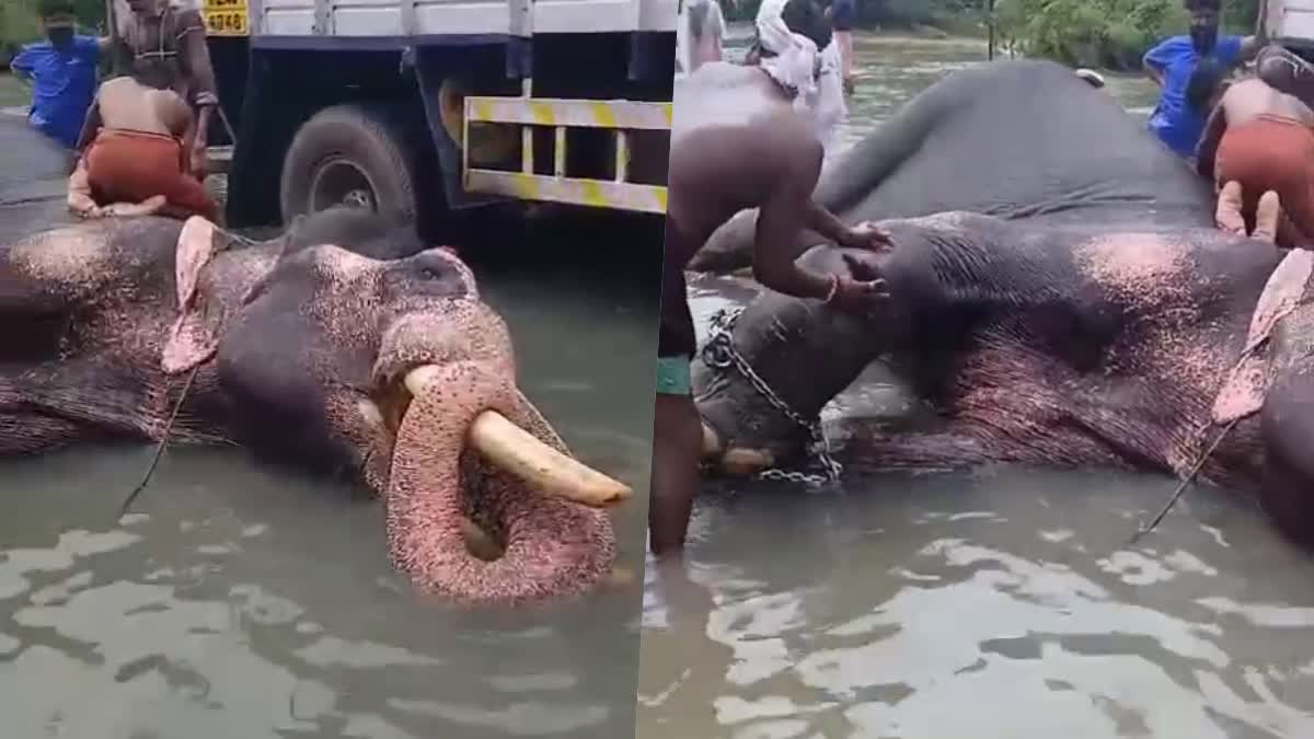 സംസ്ഥാനപാതയിൽ ആനയെ കുളിപ്പിച്ചു  കുന്നംകുളം വടക്കാഞ്ചേരി സംസ്ഥാനപാത  KUNNAMKULAM HIGHWAY  ELEPHANT BATHED AT FLOODED WATER