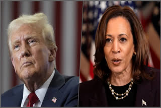 Former President Donald Trump attacked Vice President Kamala Harris by questioning her racial identity, suggesting she changed from promoting her Indian heritage to identifying as black. The White House has condemned Trump's comments, affirming that Harris's identity is a personal matter and deserving of respect.