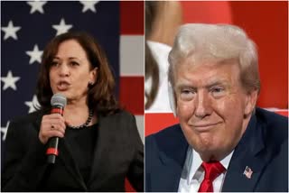 Kamala Harris Black Or Indian