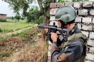 The BSF has killed a Pakistani intruder along the International; Border in Samba. The intruder was detected near the Khora post late Wednesday and was shot after ignoring warnings from BSF personnel.