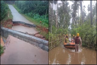 Heavy rains in Belthangadi, Kadaba Sulya: Falguni, Netravati, Kumaradhara rivers water level rise, floods in many places