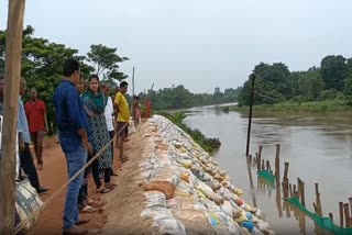 ଦବିଲା ଦୟାନଦୀ ବନ୍ଧ; ଆତଙ୍କିତ ୩ ବ୍ଲକବାସୀ, ବାଲିବସ୍ତା ପକାଇ ଚାଲିଛି ମରାମତି