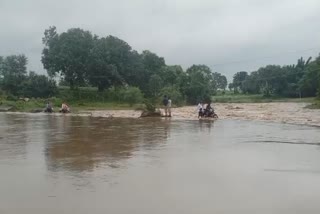 SEONI BIJNA RIVER BRIDGE DROWNS