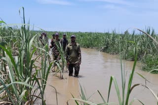 Crocodile attacks youth in Nanakmatta