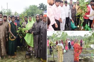 ARUN SAW PLANTED A PEEPAL TREE