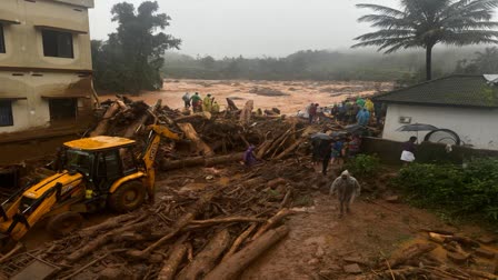 Expert on Wayanad landslide